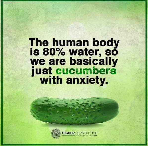 Screen Shot 2016-07-17 at 13.50.07