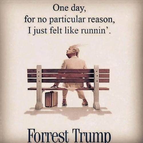 Forest Trump (2)