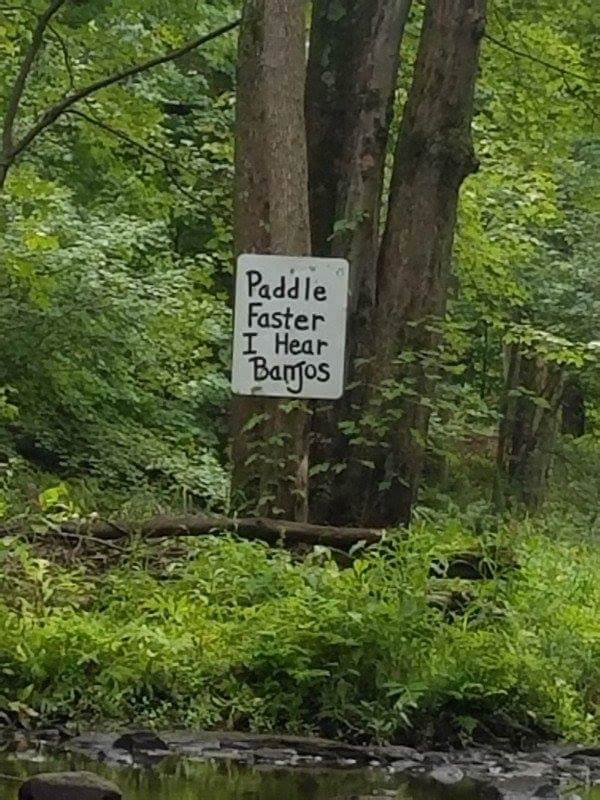 14203287 988108811314833 6174424063377402802 n