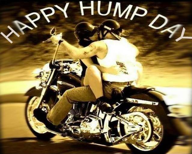 14390953 777887819019056 7003190922008832940 n