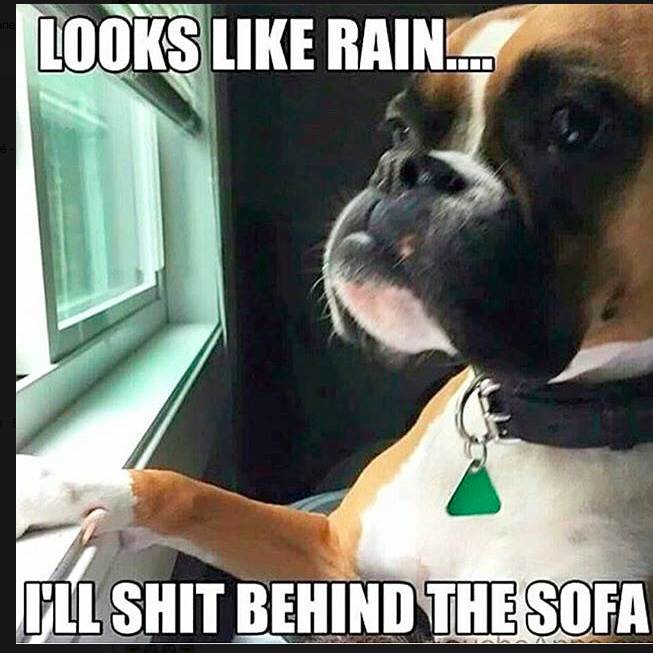 Screen Shot 2016-12-10 at 21.36.26