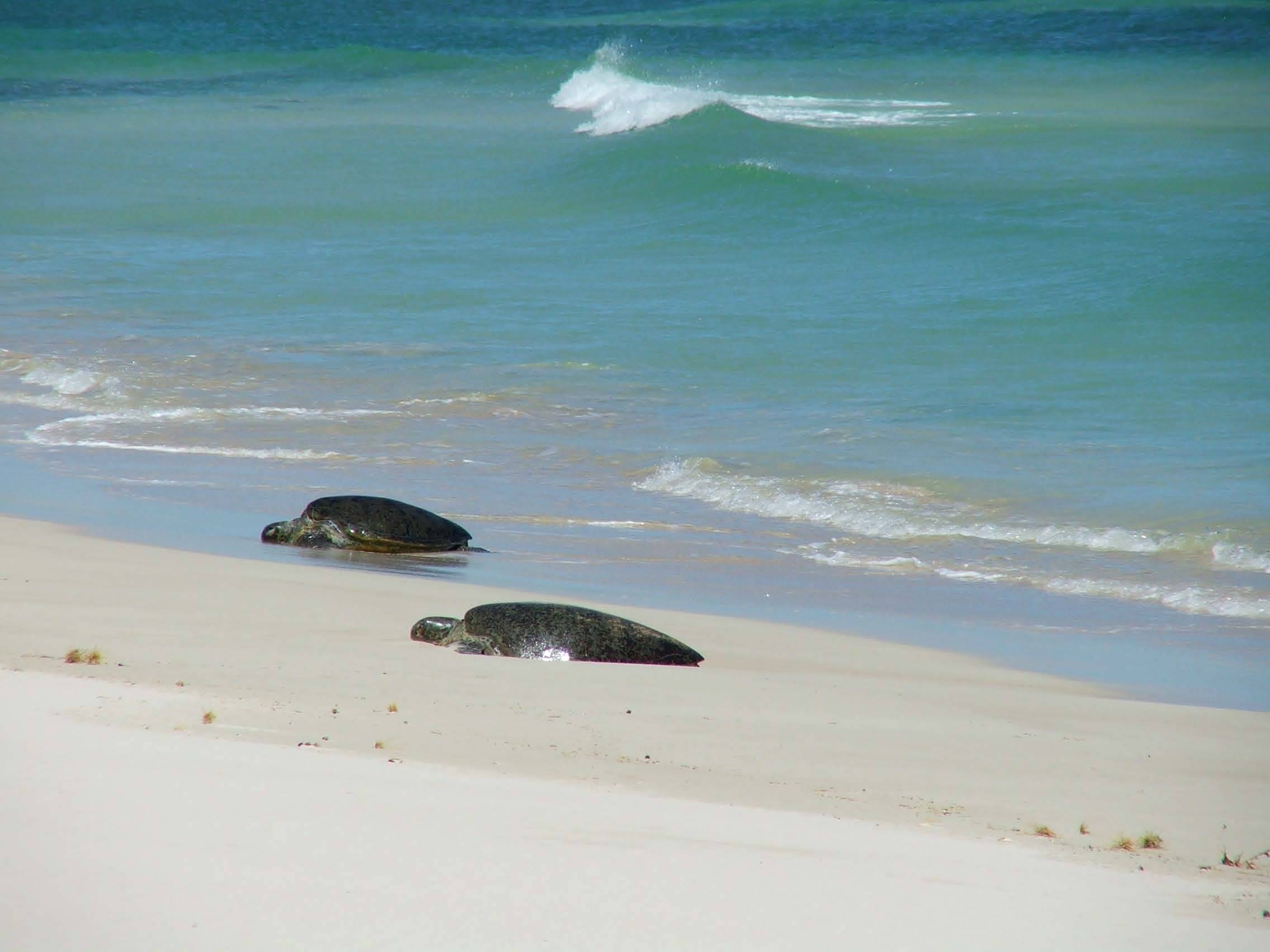 South of Yardie creek Exmouth / Ningaloo