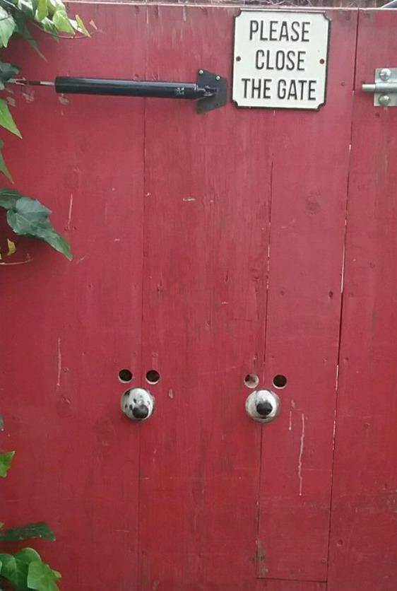 16473204 10154352978182005 7252112039985289060 n