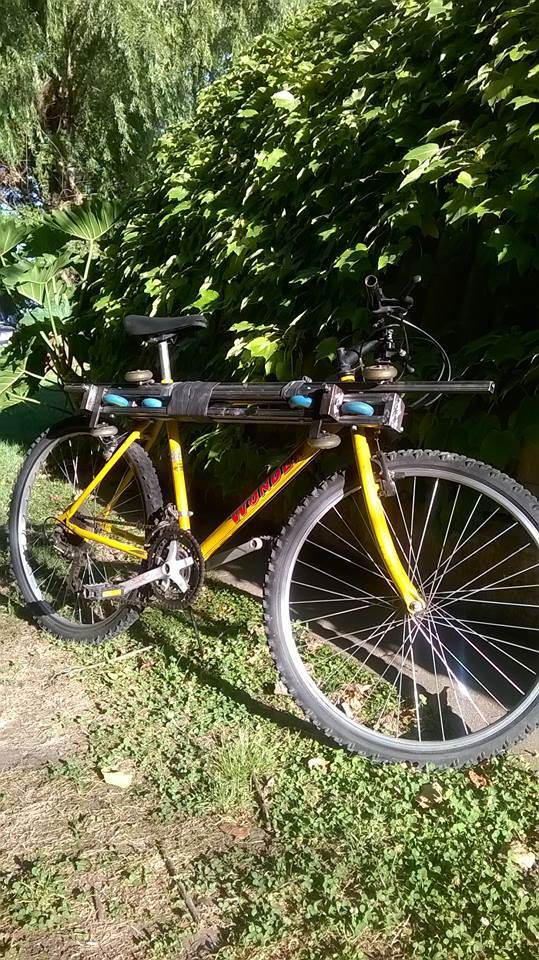 15541999 1154803057901377 8419506424630654840 n