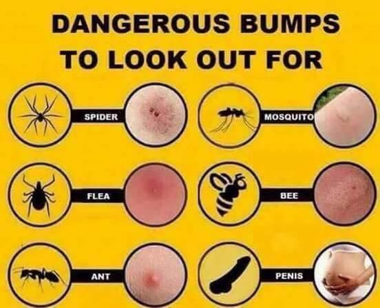 17861902 1333526230088863 1735286202438265828 n