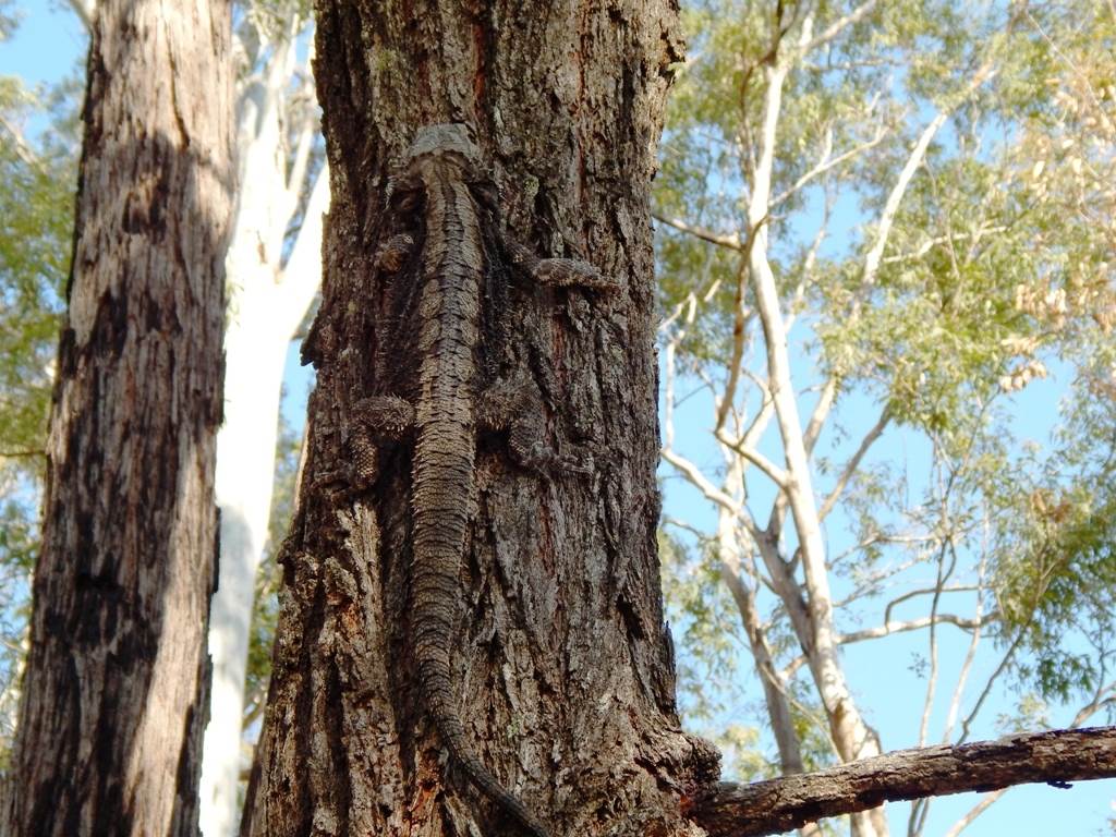 Hiding in plain sight