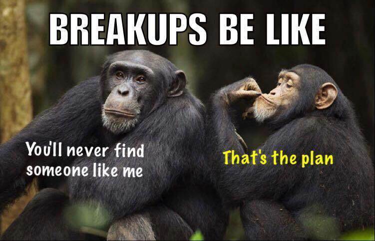 19366231 1529028517147951 122643725929244690 n