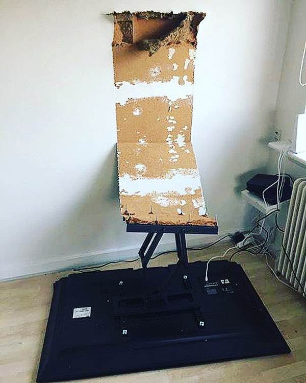 19275176 699599486897492 4711126463812783223 n