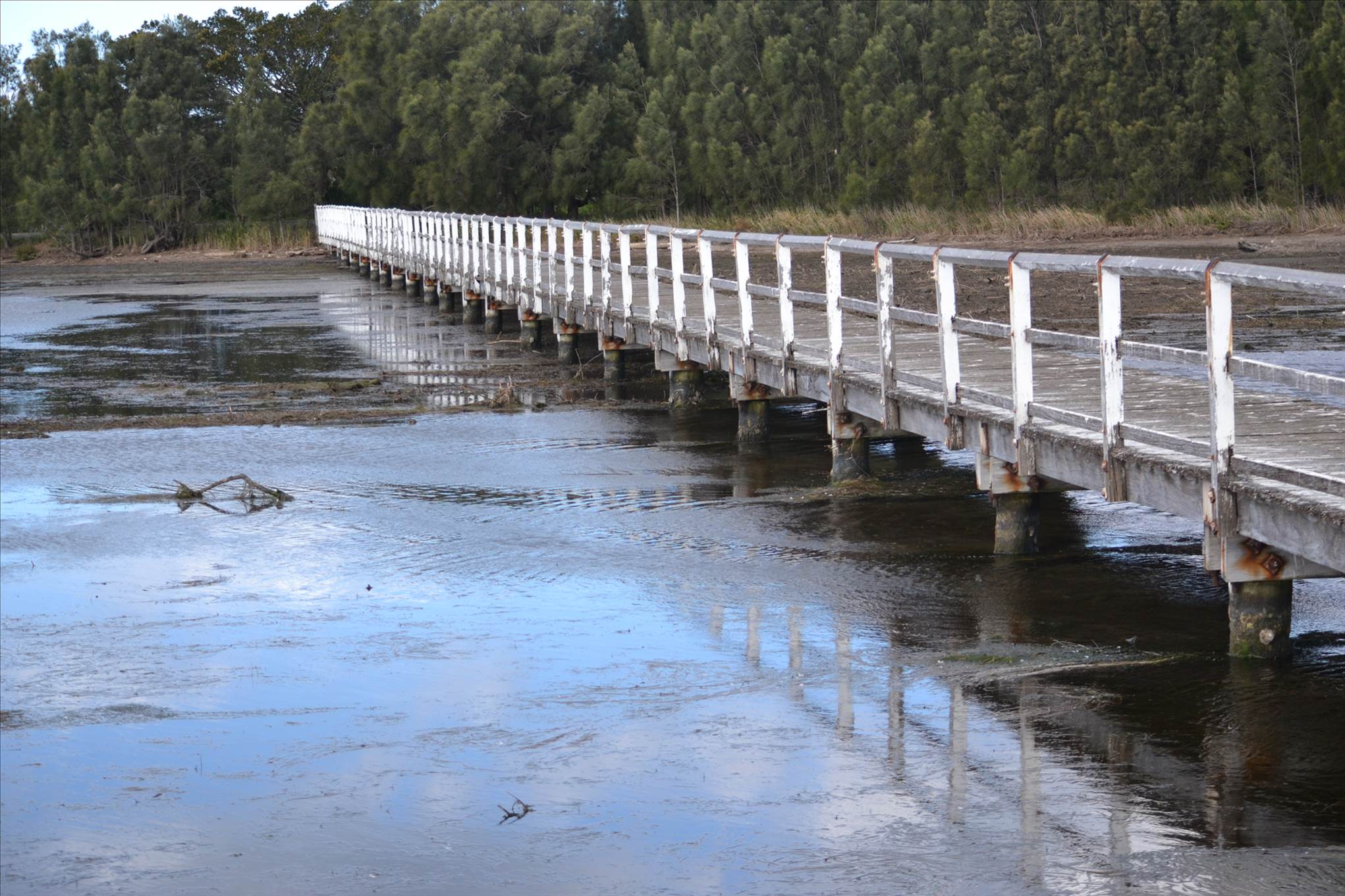 Jetty in need of Repair