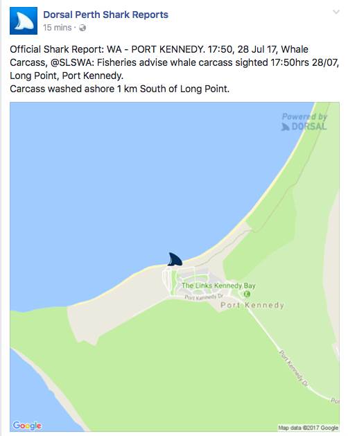 Screen Shot 2017-07-28 at 7.39.36 PM