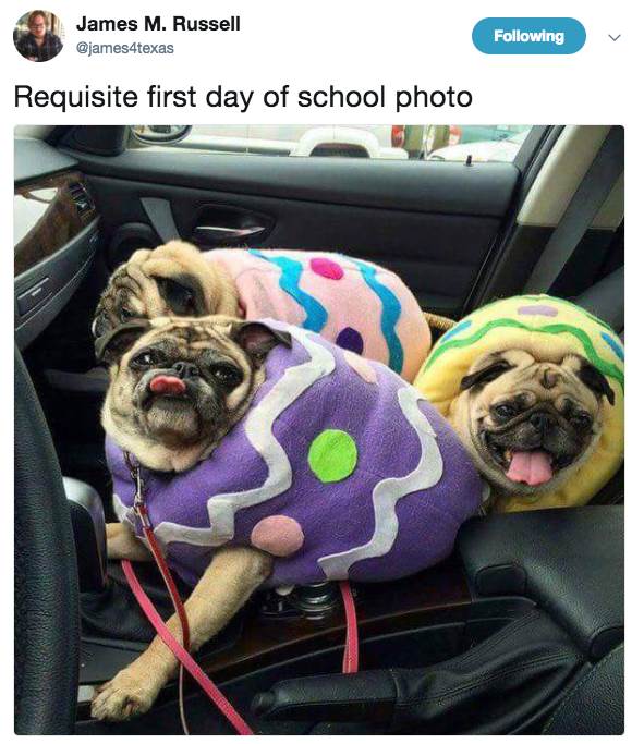 screen-shot-2017-08-21-at-1-53-44-pm