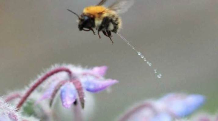 Screen Shot 2017-09-14 at 4.46.11 PM