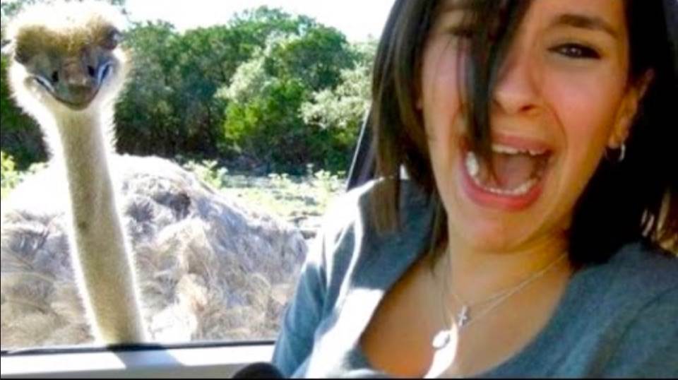 image hilarious - Google Search