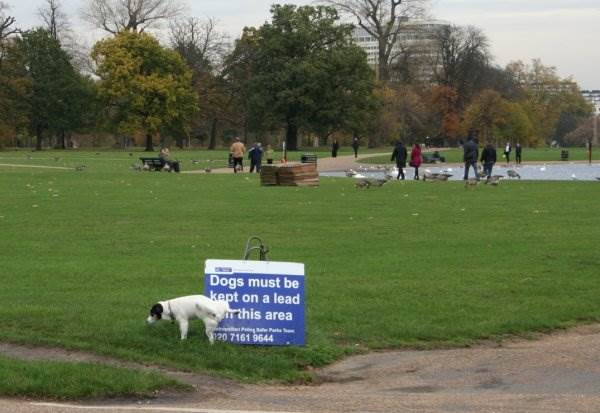 collegehumor.f5ff9550b5228b2187cd40598ea9716f