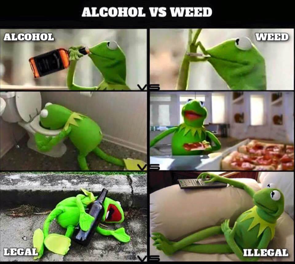 15966129 1854524888127098 6751678700517884478 n