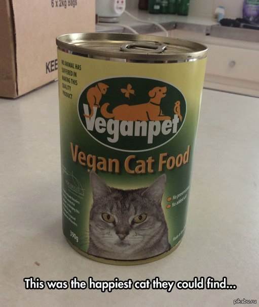 Vegancat