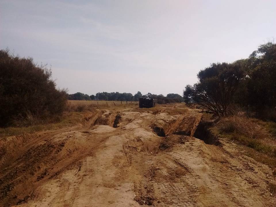 31890386 10215818144067881 5357935117228572672 n