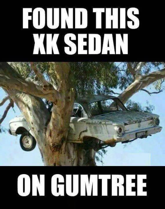 Gumtree