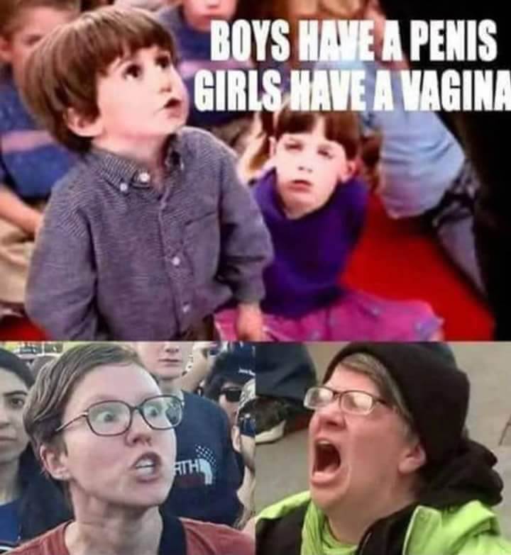 FB IMG 1533603714778