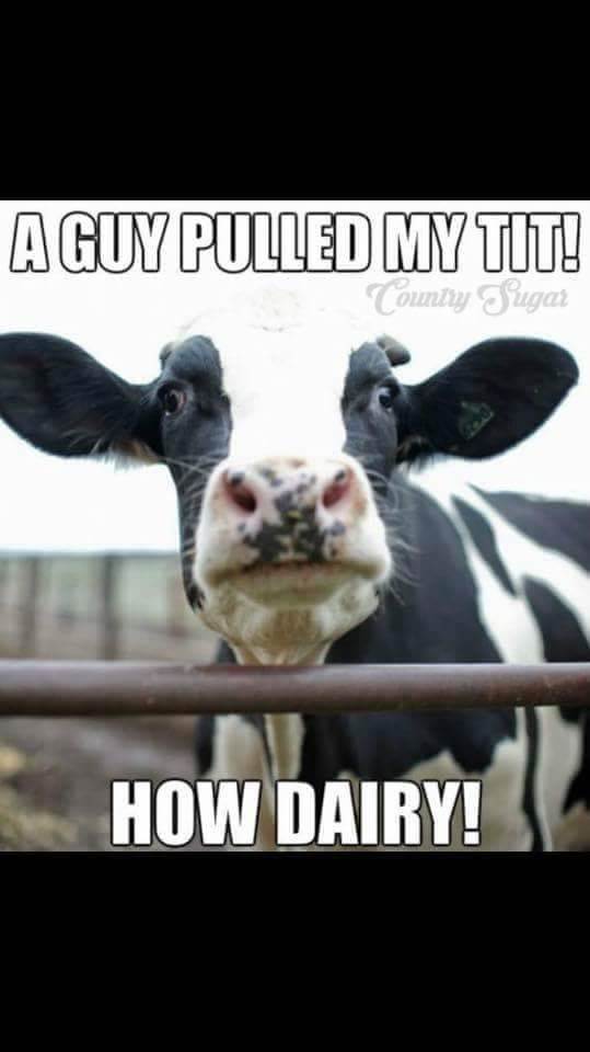 FB IMG 1534384376562