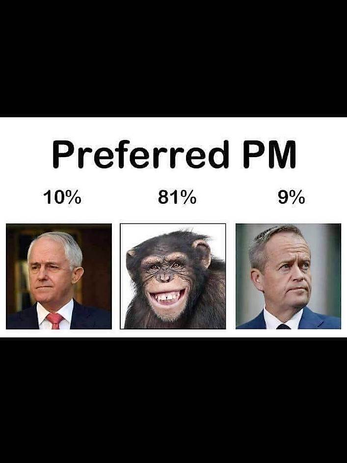preferred pm