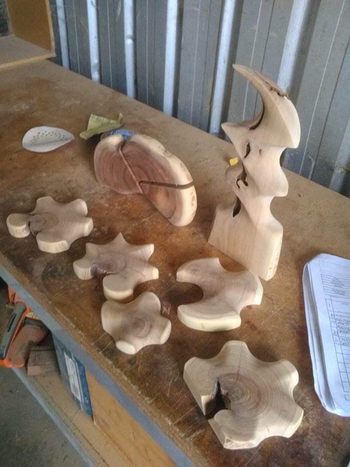 39891498 548192412282192 6636347289822560256 n