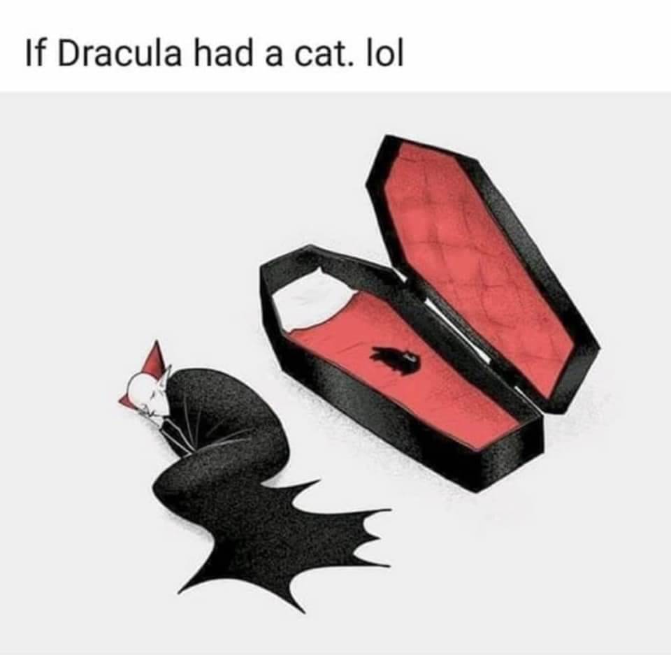 45035695 278108152830821 8466787730615959552 n