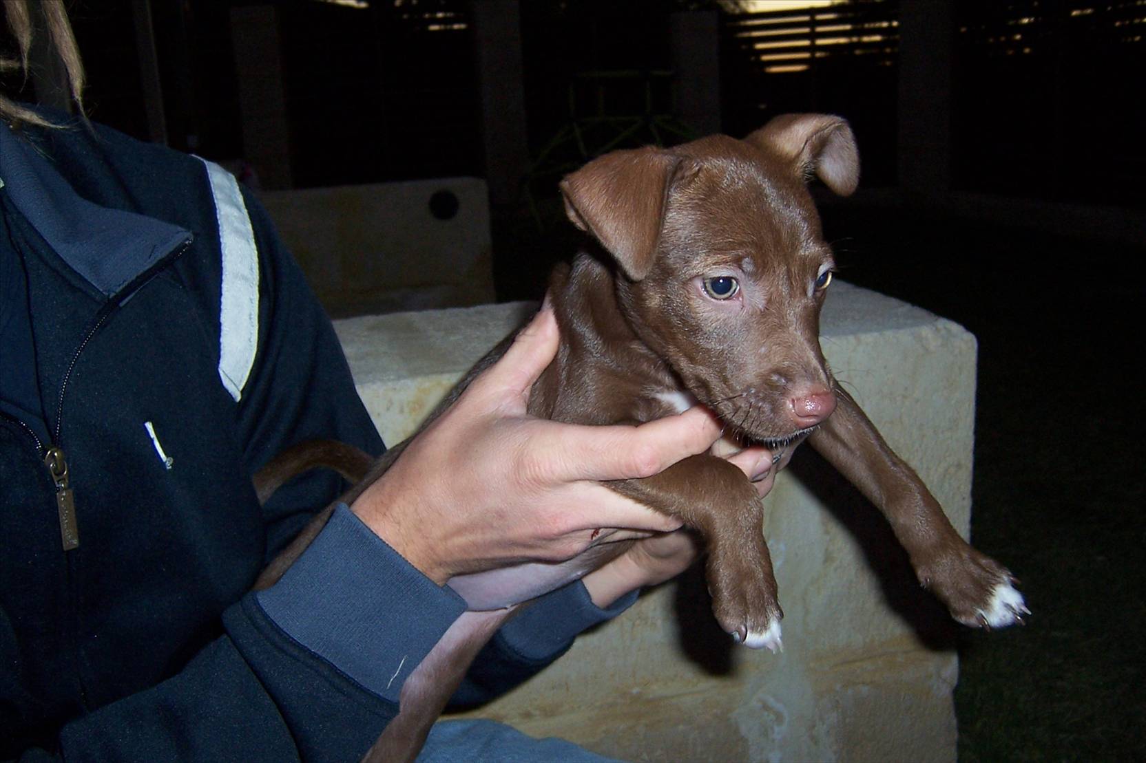 Gnarlee, our first night together