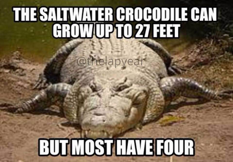 FB IMG 1542064202941