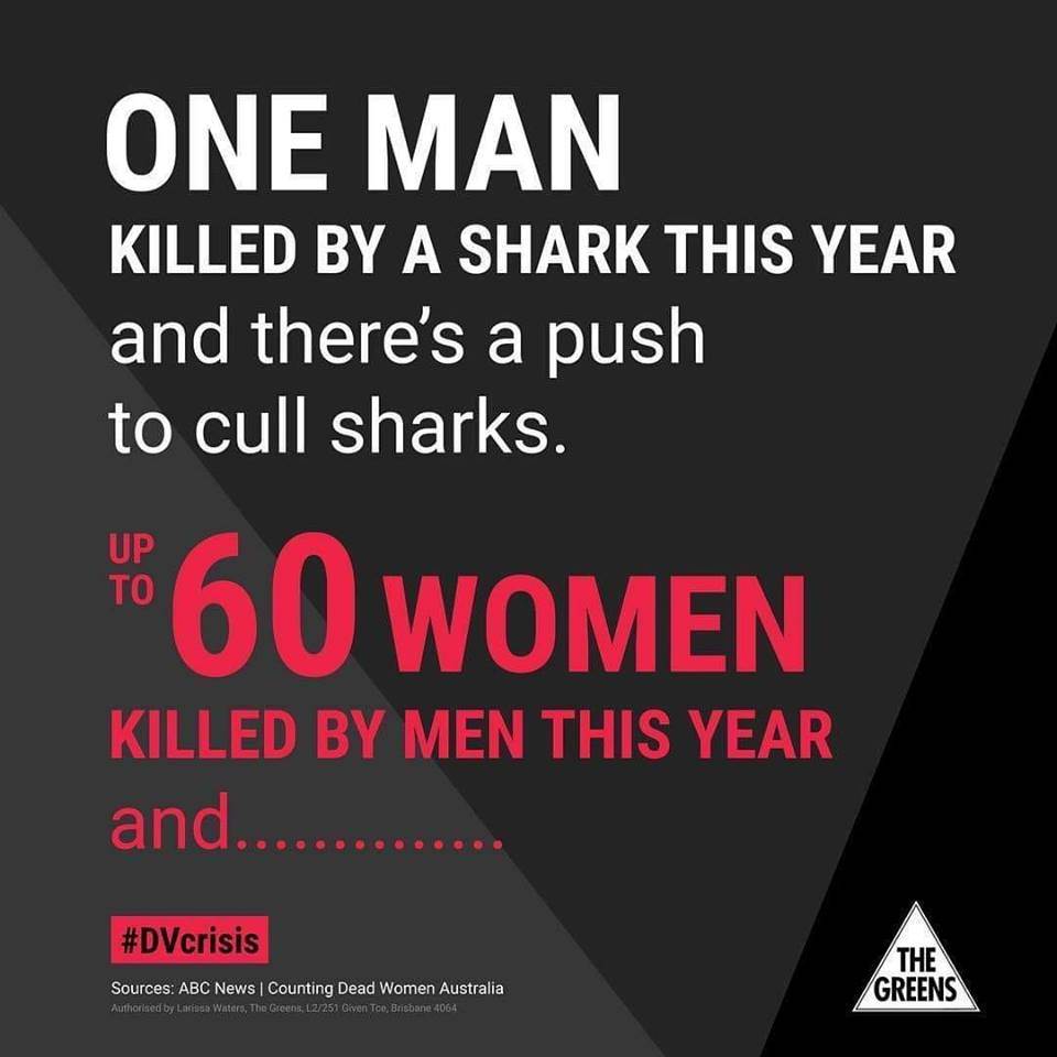 45643542 10156687279515359 7503099023327232000 n