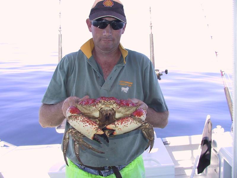 just something to do in tassie