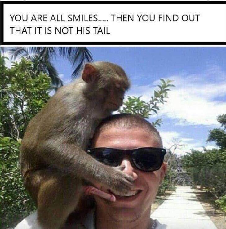 47485884 10216405804273127 579575007319949312 n