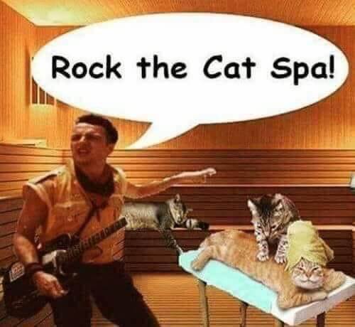 FB IMG 1547117921958