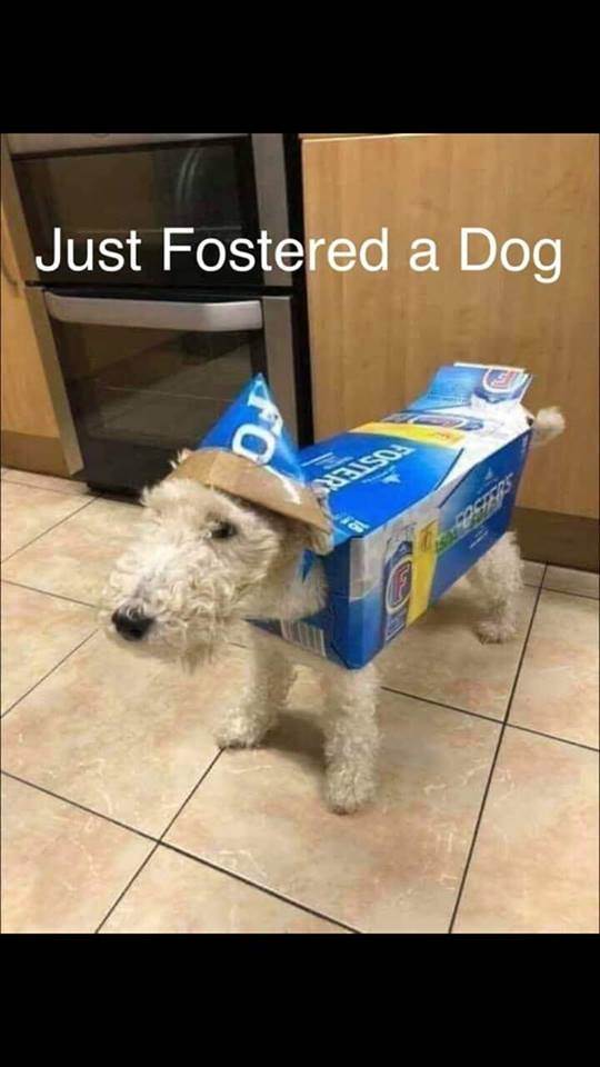 51679645 2183261885115289 1897530930923307008 n