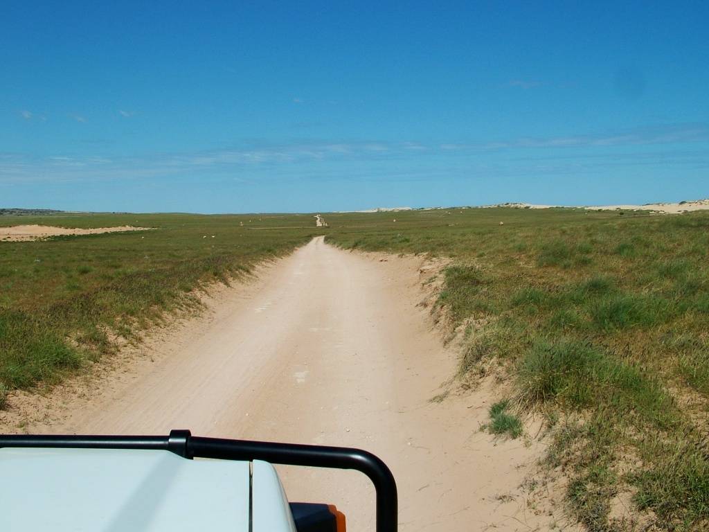 Drive up a few sand tracks