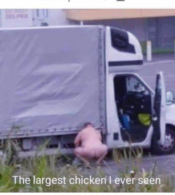 FB IMG 1554728306353