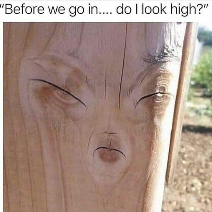 FB IMG 1555387885995