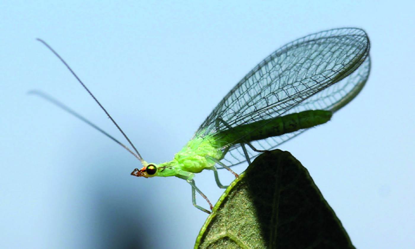 Screen Shot 2019-04-20 at 8.30.26 am