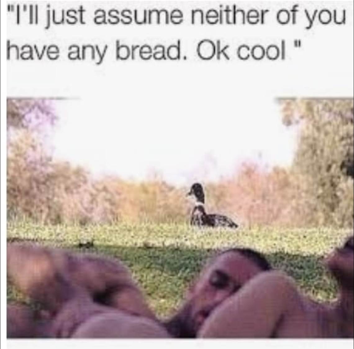 Screen Shot 2019-05-06 at 7.00.47 pm