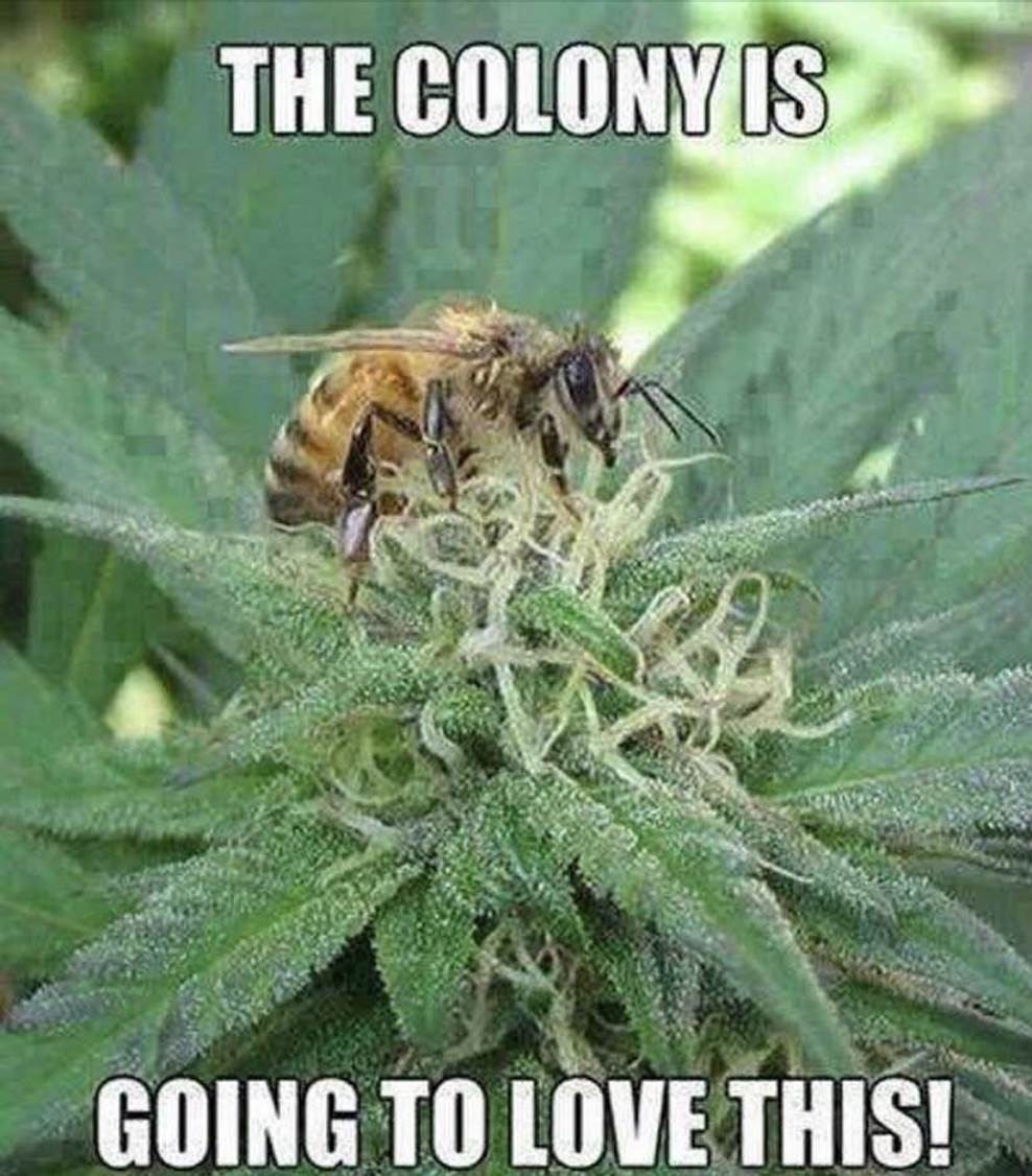 Screen Shot 2019-05-12 at 12.20.15 pm