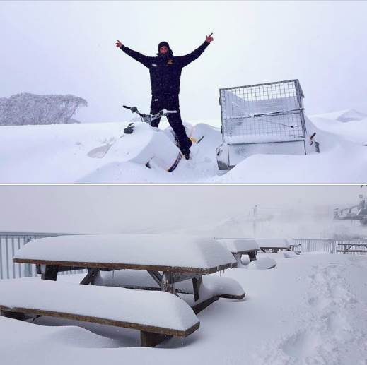 Screen Shot 2019-05-28 at 1.36.49 pm