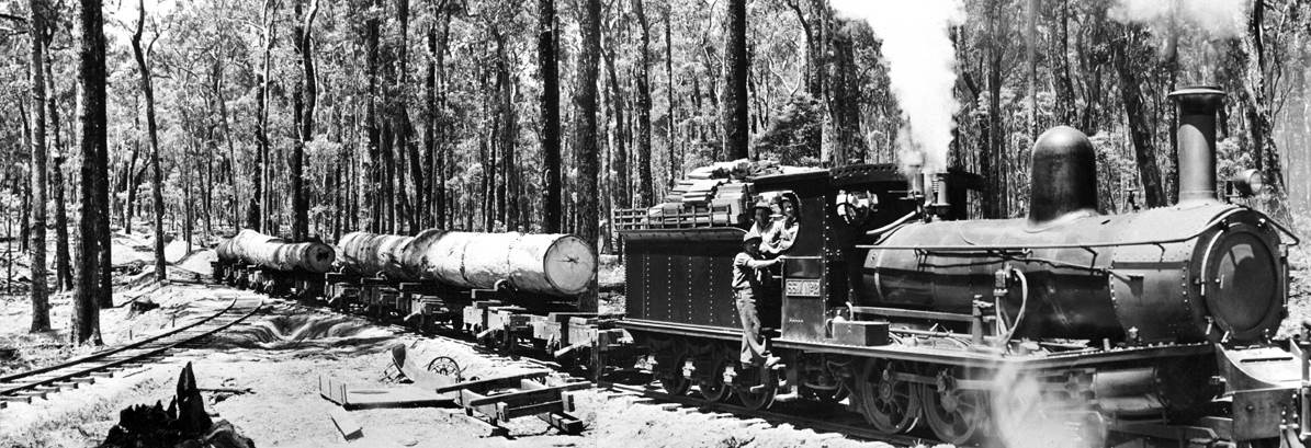 Timber trains in Manjimup Pemberton area