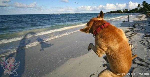 funny picture joke pictures taken at right time 07