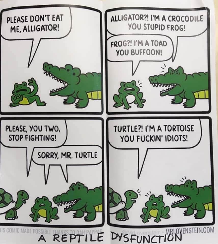 FB IMG 1566254567965