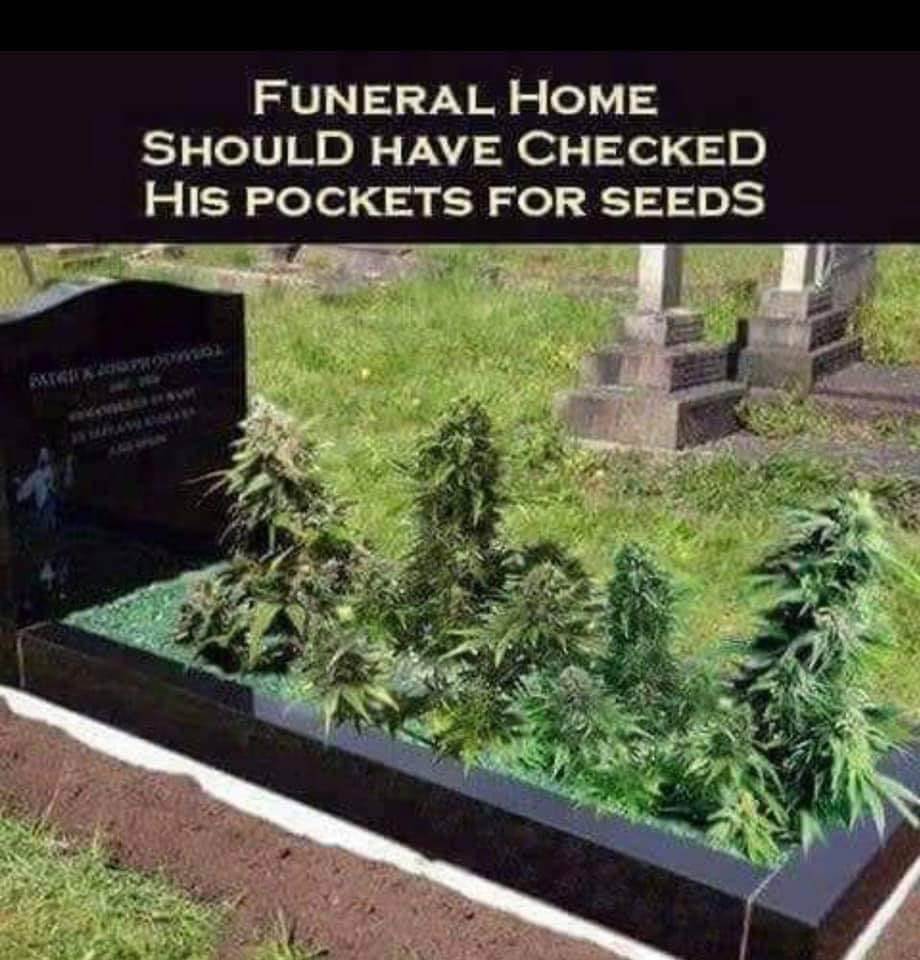 69690236 10156209404696682 3696044912710516736 n