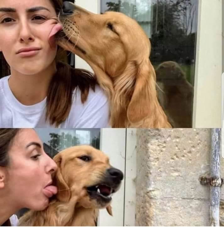 FB IMG 1571014502522