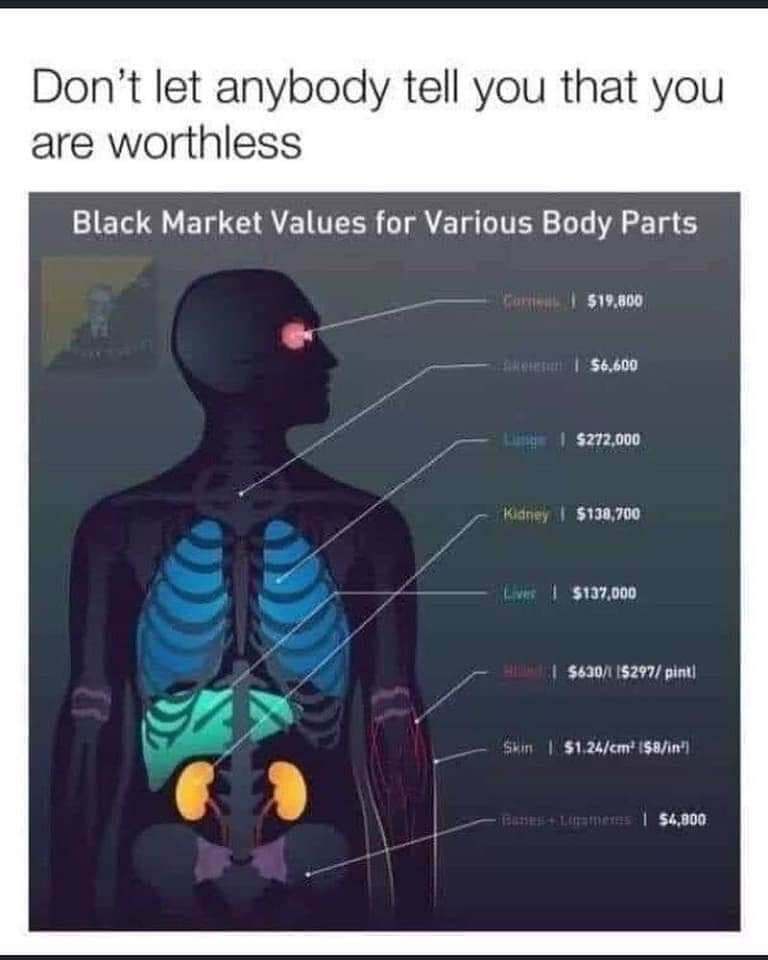 body parts