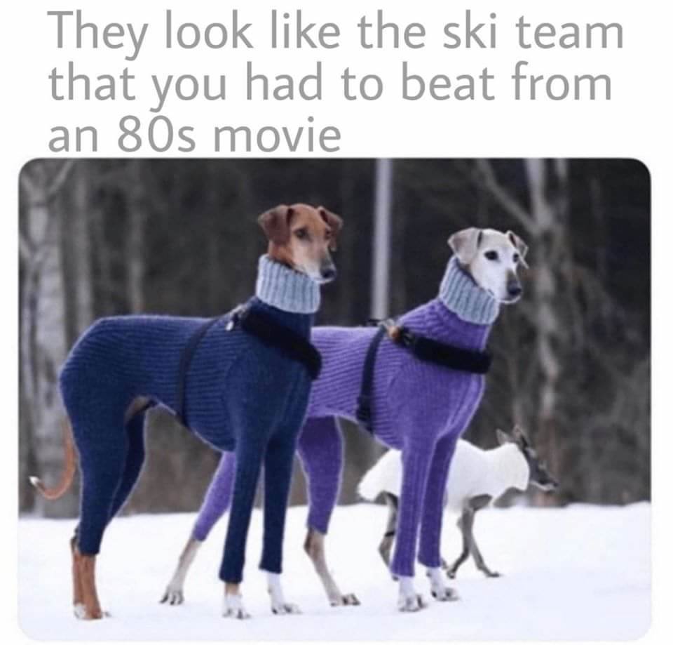 FB IMG 1574675498937