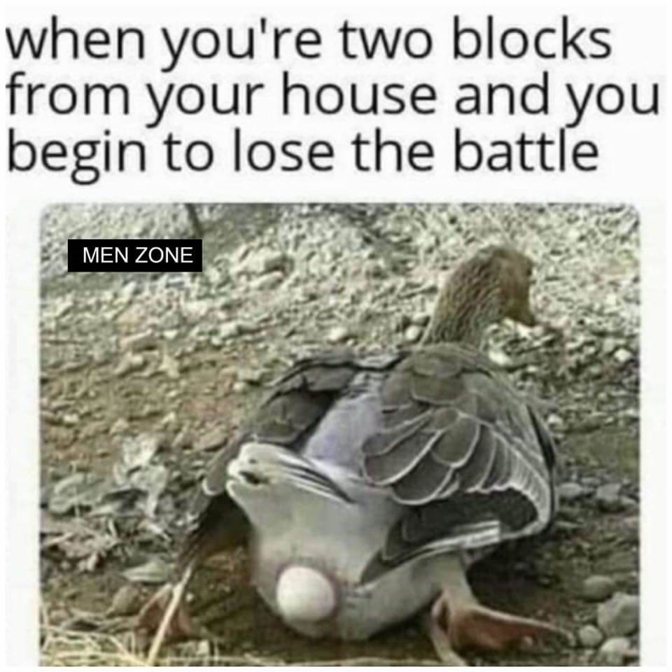 FB IMG 1576251058303