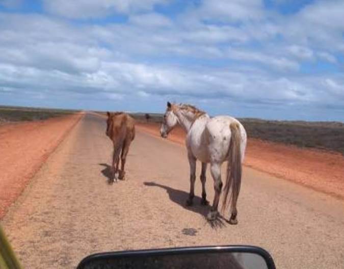 Screenshot 2019-12-18-00-28-31-1